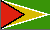 flag_sm_guyana